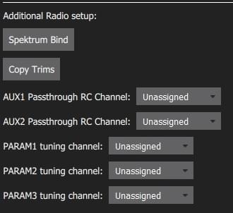 Radio setup - PX4 additional settings